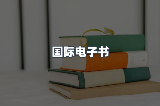 国际电子书